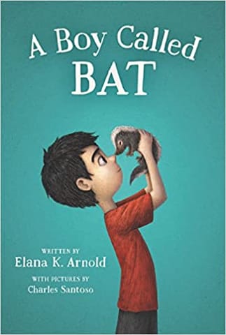 A BOY CALLED BAT