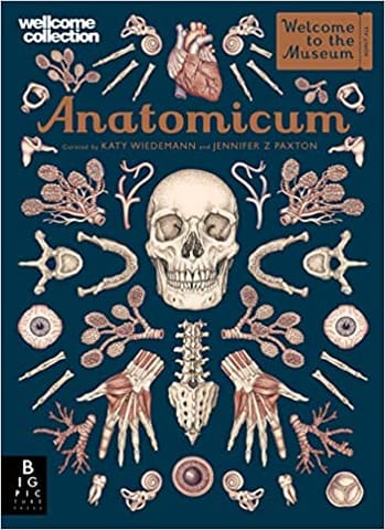 Anatomicum