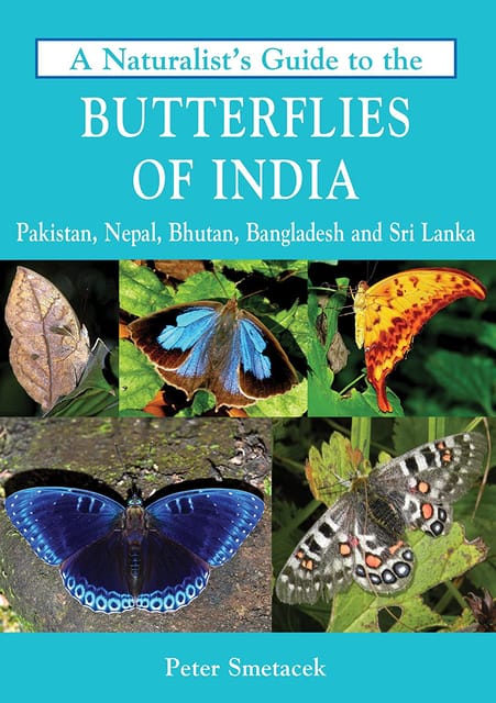 A NaturalistS Guide To The Butterflies Of India