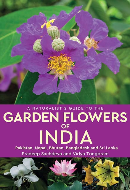 A Naturalists Guide to The Garden Flowers of India