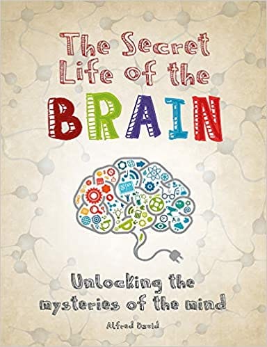 The Secret Life Of The Brain