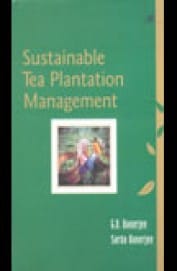 Sustainable Tea Plantation Management