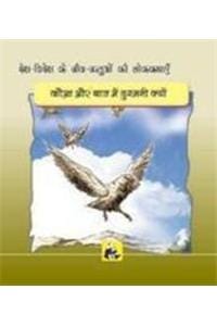 Animal Folk Tales From Around The World - Why The Crow And Hawk Are Enemies (Hindi)