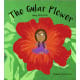 The Gular Flower (English)