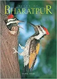 Birds Of Bharatpur