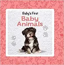 Babys First : Baby Animals