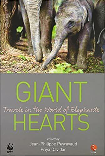 Giant Hearts Travels In The World Of Elephants