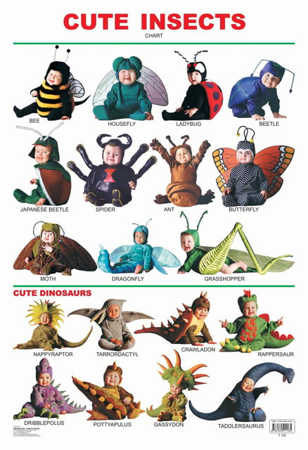 Cute Insects : Reference Educational Wall Chart