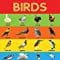 Birds Chart - Early Learning Educational Chart For Kids: Perfect For Homeschooling, Kindergarten and Nursery Students (11.5 Inches X 17.5 Inches)?