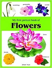 My first picture book of Flowers: Picture Books for Children