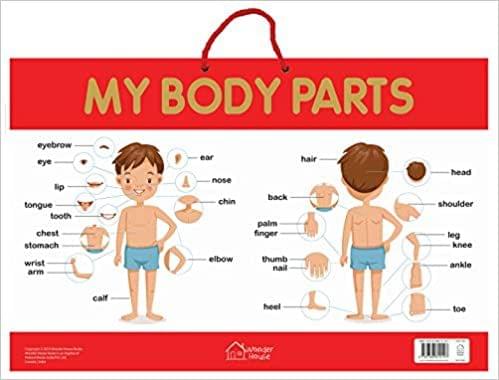 My Body Parts - Early Learning Educational Posters For Children: Perfect For Kindergarten, Nursery and Homeschooling (19 Inches X 29 Inches)