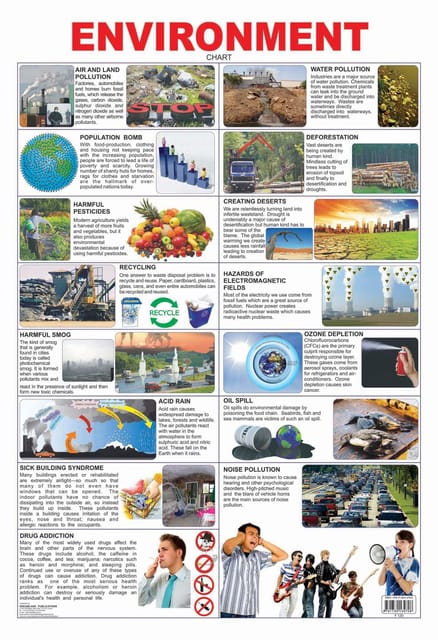 Environment : Reference Educational Wall Chart