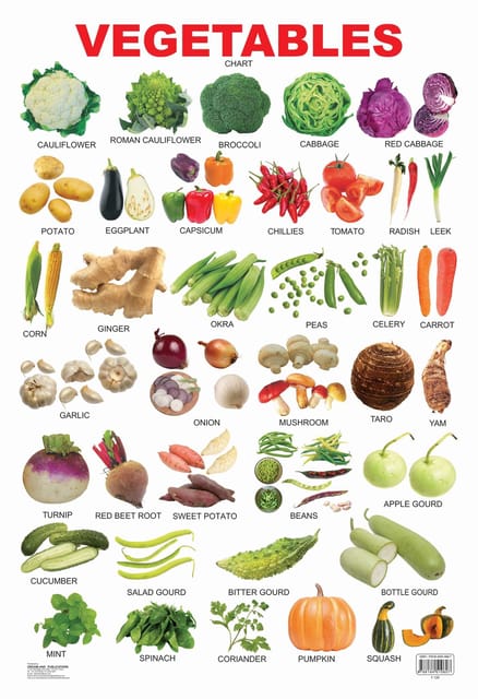 Vegetables : Reference Educational Wall Chart