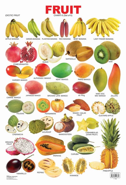 Fruit Chart - 5 : Reference Educational Wall Chart