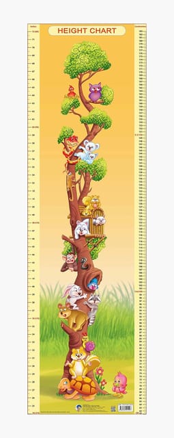 Height Chart - 2 : Reference Educational Wall Chart