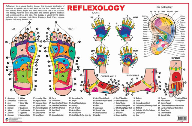 Reflexology : Reference Educational Wall Chart