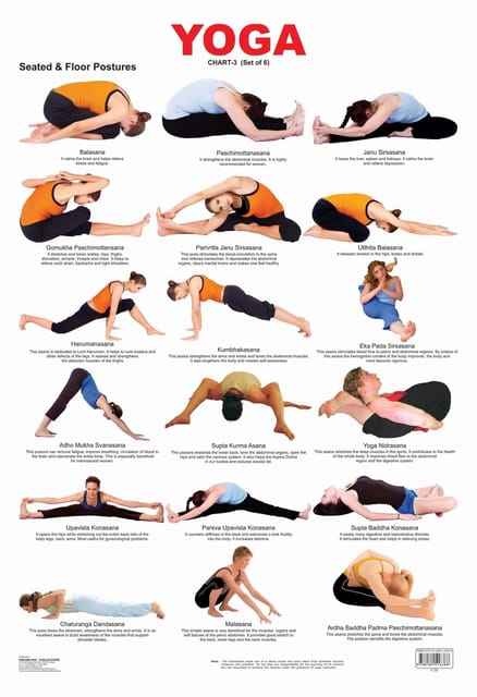 Yoga Chart - 3 : Reference Educational Wall Chart