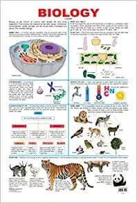 Biology : Reference Educational Wall Chart