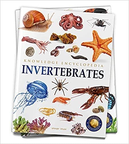 Animals - Invertebrates : Knowledge Encyclopedia For Children