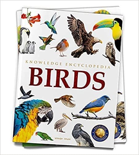 Animals - Birds : Knowledge Encyclopedia For Children