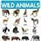 Wild Animals - My First Early Learning Wall Chart: For Preschool, Kindergarten, Nursery And Homeschooling (19 Inches X 29 Inches)?