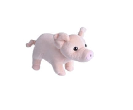 CK-LIL'S PIG