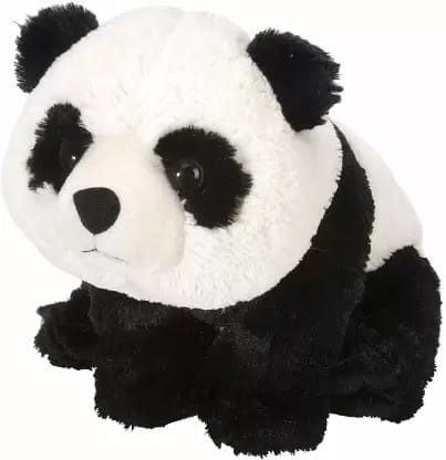 CK Panda 12''