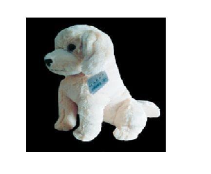 Paws Dog Golder Retriever