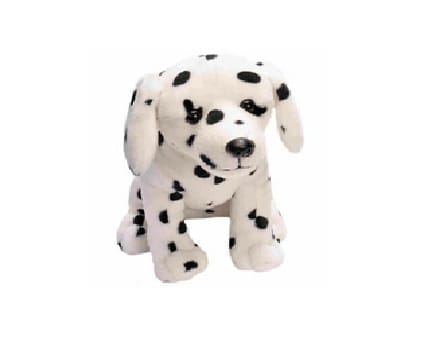 CK Dog Dalmation