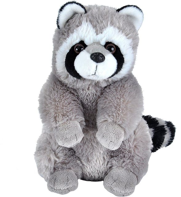 CK Racoon