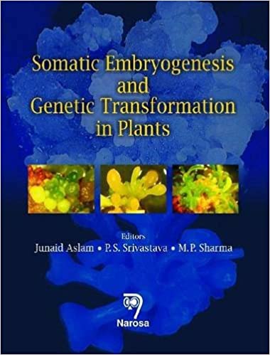 Somatic Embryogenesis and Genetic Transformation in Plants   264pp/HB