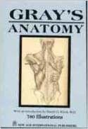 Gray`s Anatomy