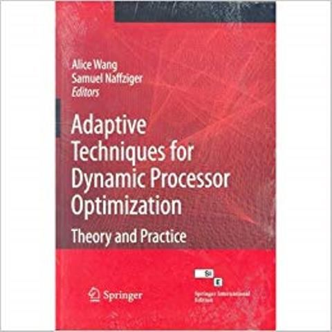 Adaptive Techniques for Dynamic Processor Optimization: Theory and Practice