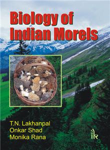 Biology of Indian Morels