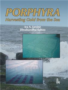 Porphyra