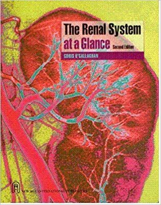 The Renal System at a Glance