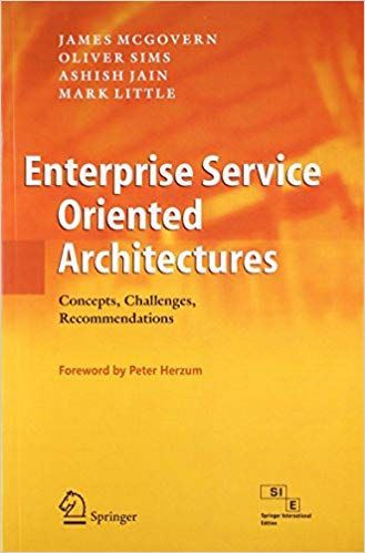 Enterprise Service Oriented Architectures